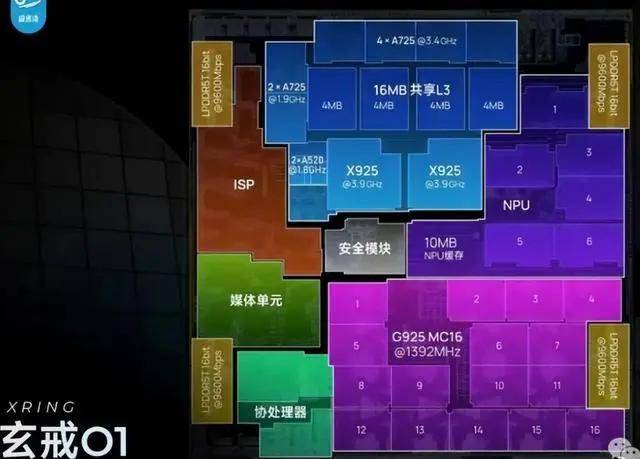 川渝五地消委会联合开展食品保养支出体察活动